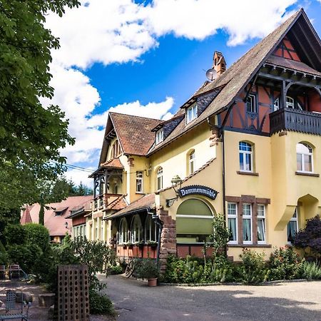 Hotel Dammenmuehle Лар Экстерьер фото