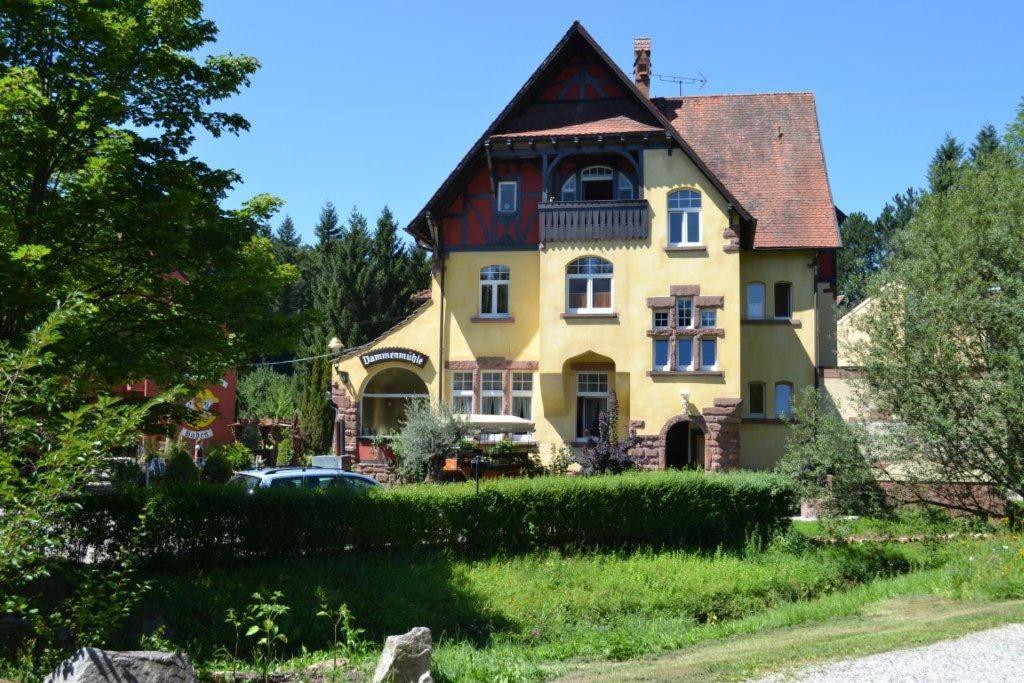 Hotel Dammenmuehle Лар Экстерьер фото